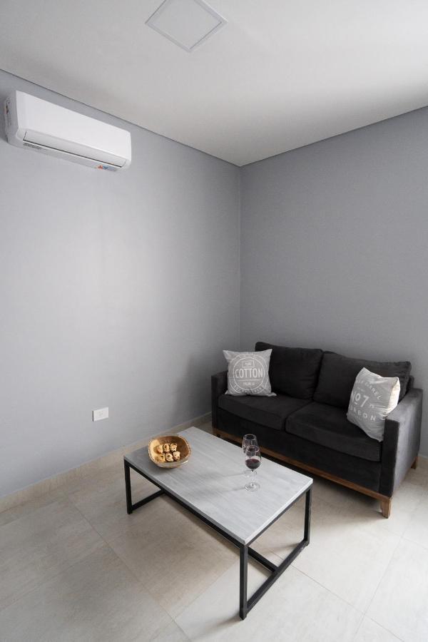 Apartment Departamento Zuviria 629